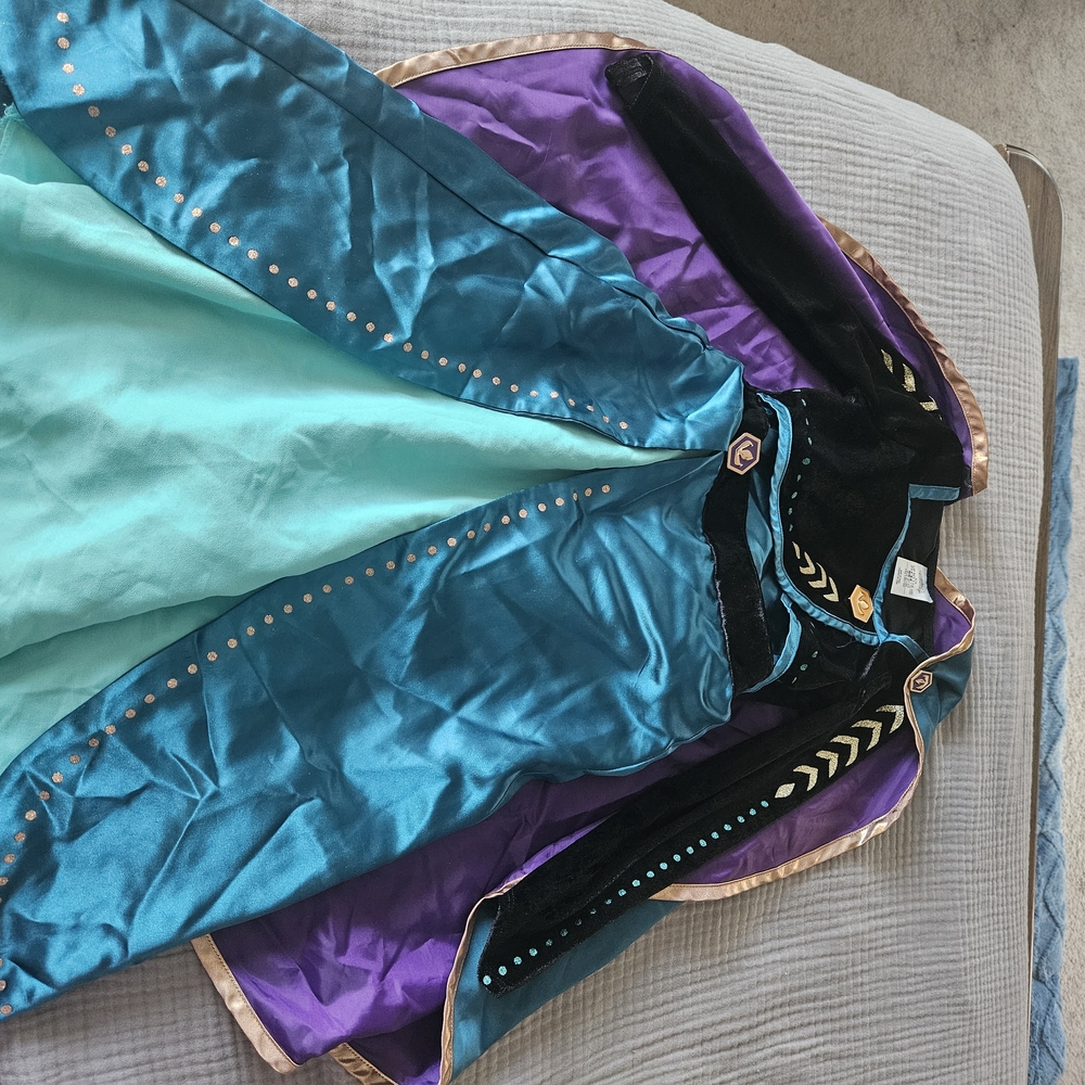 Disney Anna Feozen  Costume